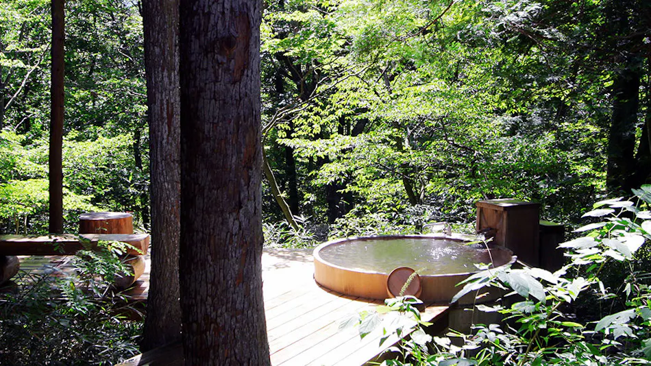 Onsen Sansou Daikon no Hana