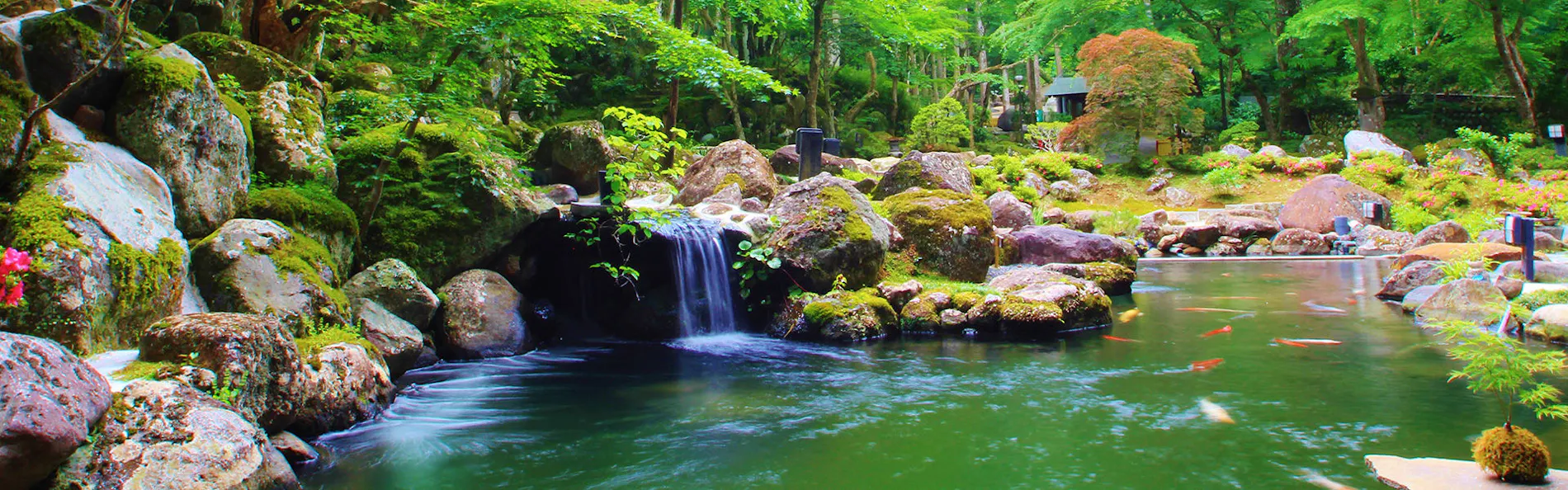 宙 SORA 渡月荘金龍