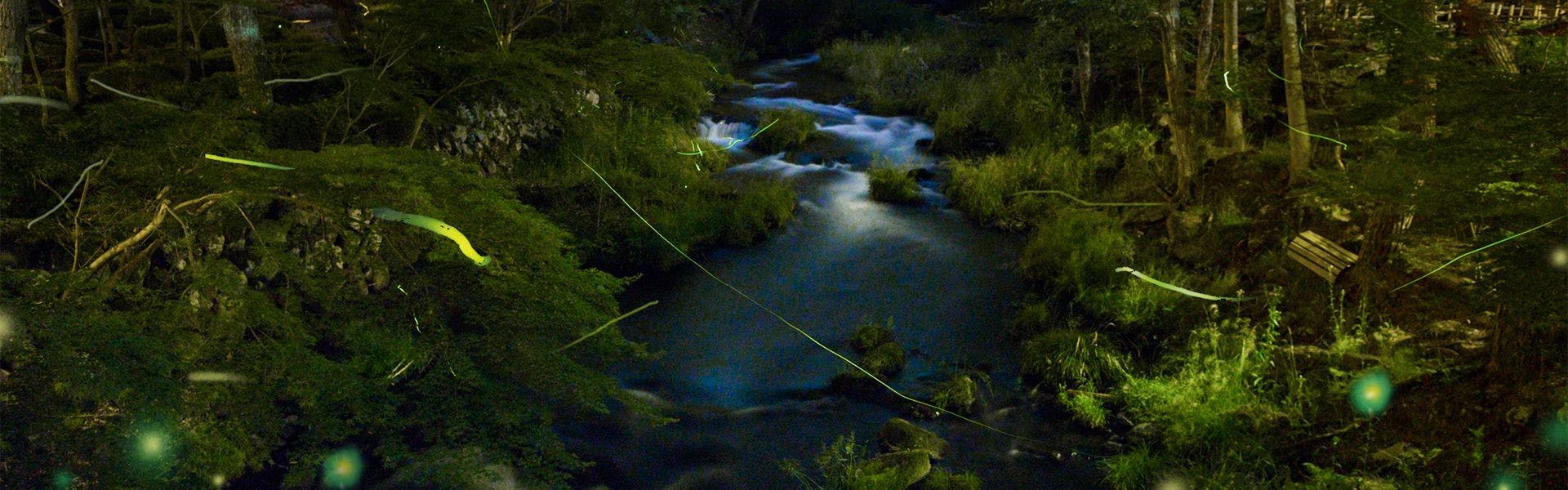 庭園と感動の宿　富士山温泉　ホテル鐘山苑