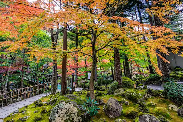 庭園