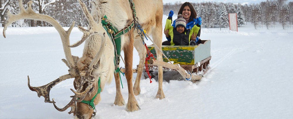 まるで冬のおとぎ話のようなファンタジック体験「トナカイぞり」