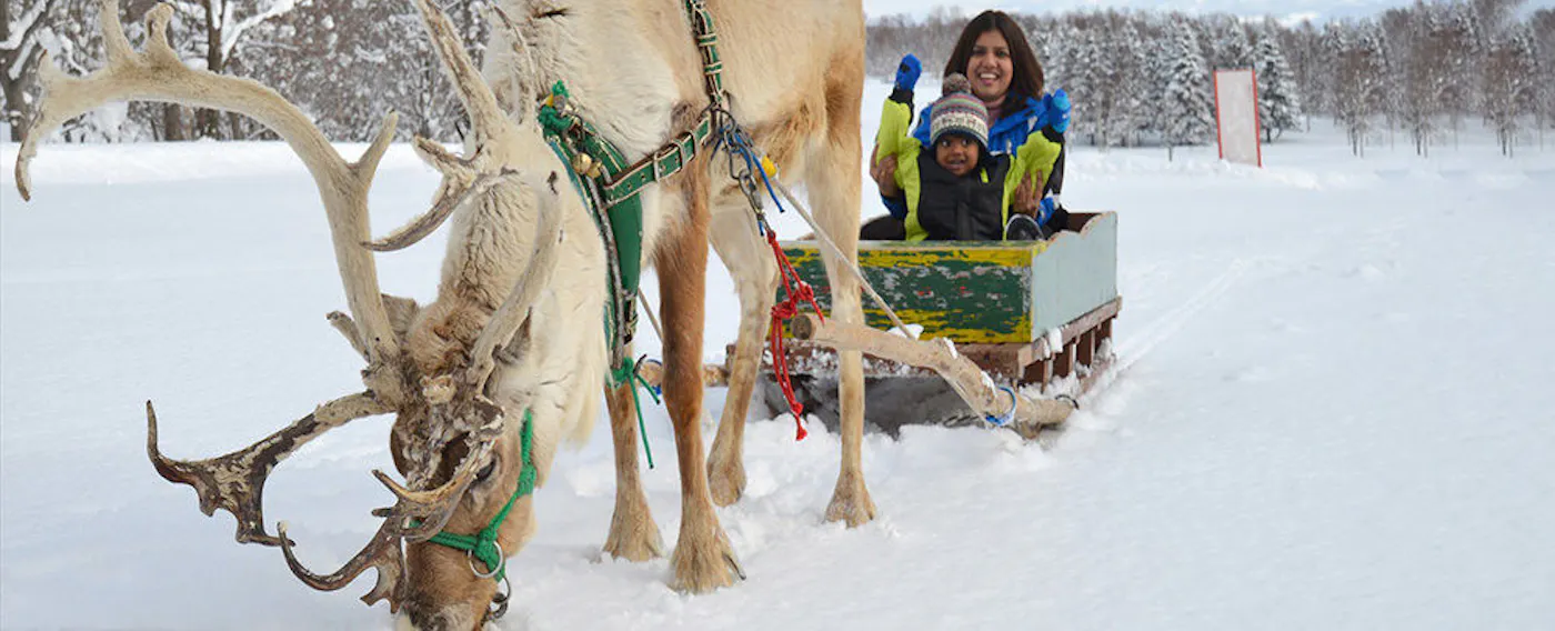 まるで冬のおとぎ話のようなファンタジック体験「トナカイぞり」