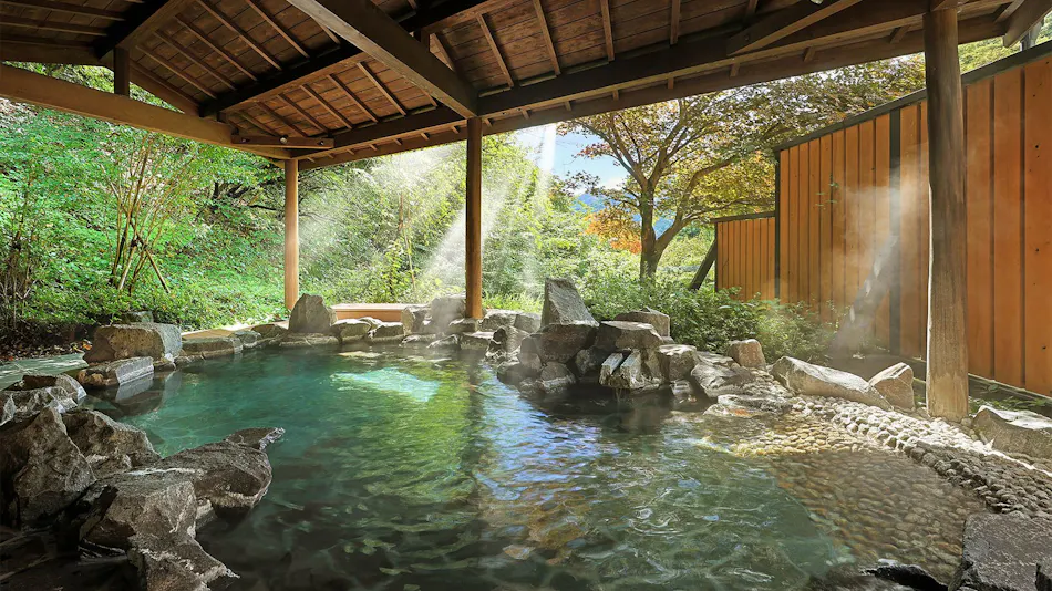 Shima Onsen Shikanosakino-yu Tsuruy
