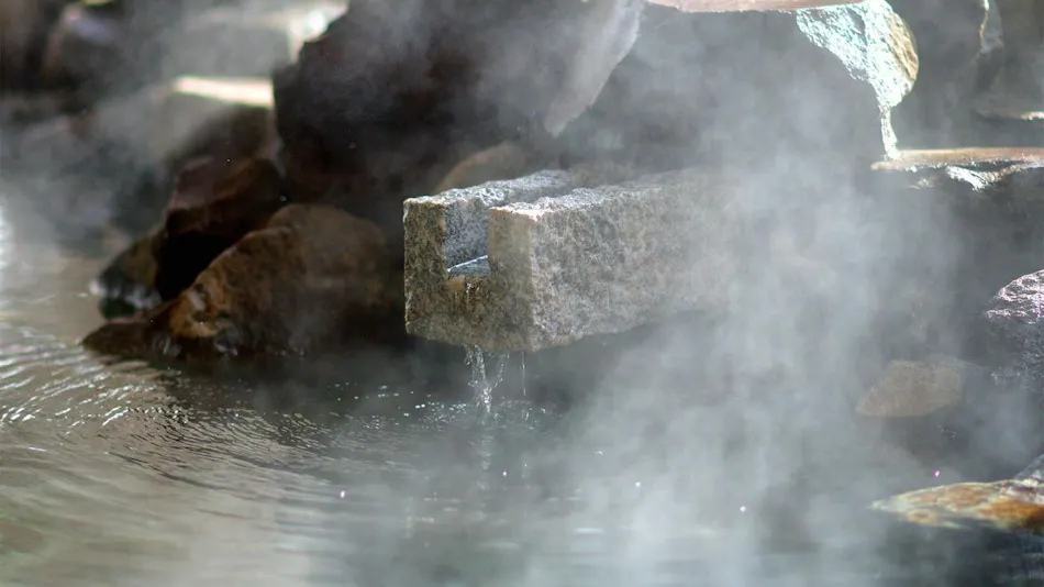 Shima Onsen Shikanosakino-yu Tsuruy