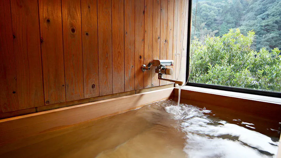 Taishoya Shiibasanso