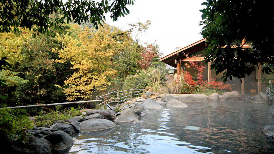 Taishoya Shiibasanso