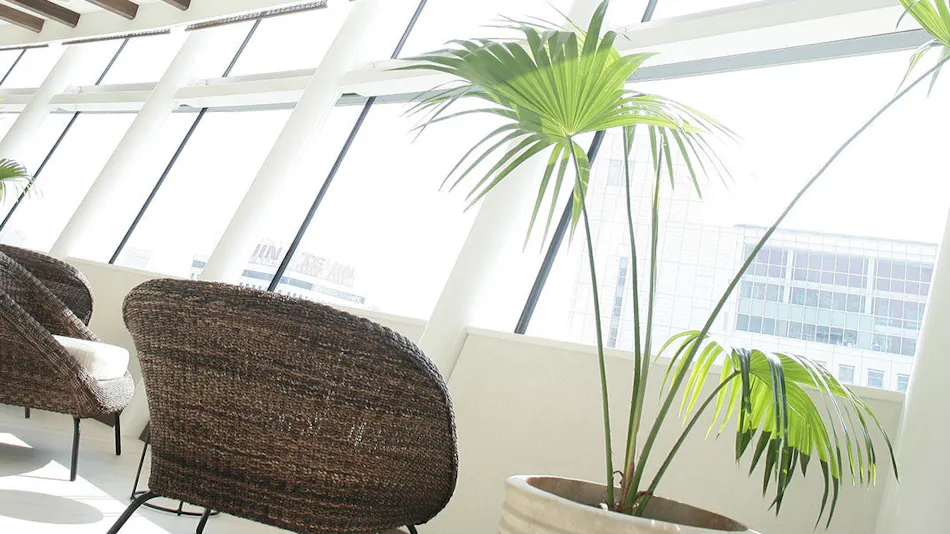 City Plaza Osaka ~HOTEL & SPA~