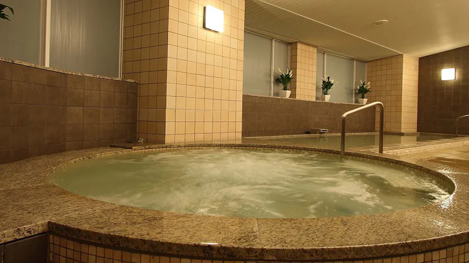 Maihama View Hotel by HULIC(Former: Tokyo Bay Maihama Hotel)
