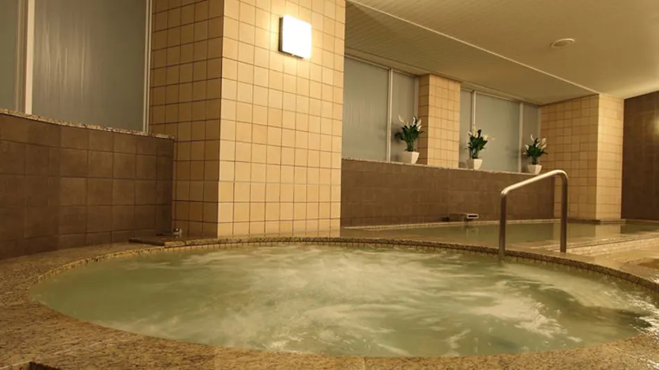 Maihama View Hotel by HULIC(Former: Tokyo Bay Maihama Hotel)