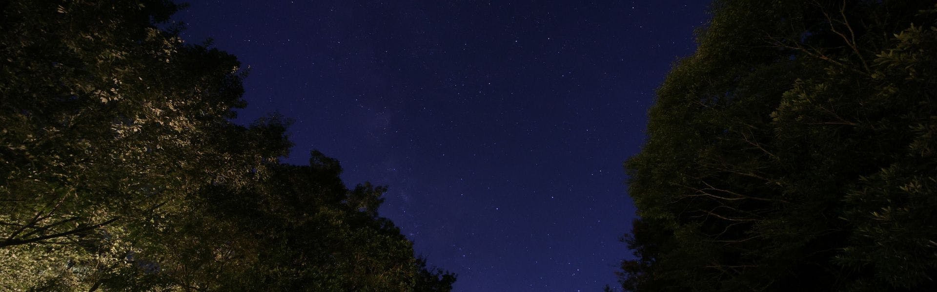 วิวทิวทัศน์