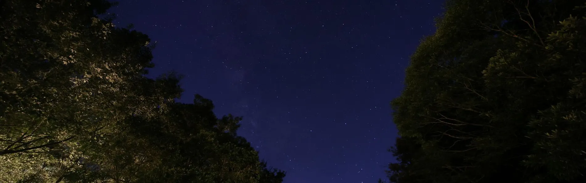 北郷 音色香の季 合歓のはな