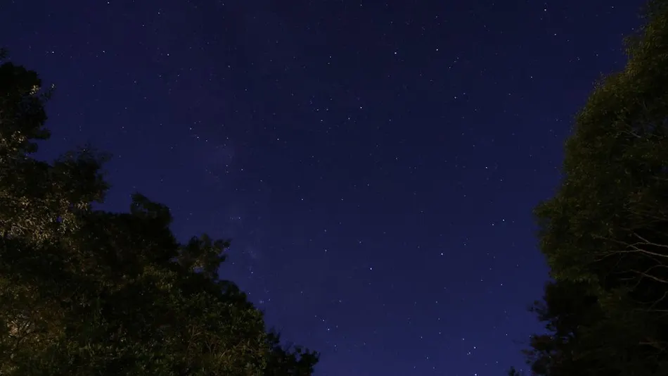 Kitago Neiroka no Toki Nemunohana