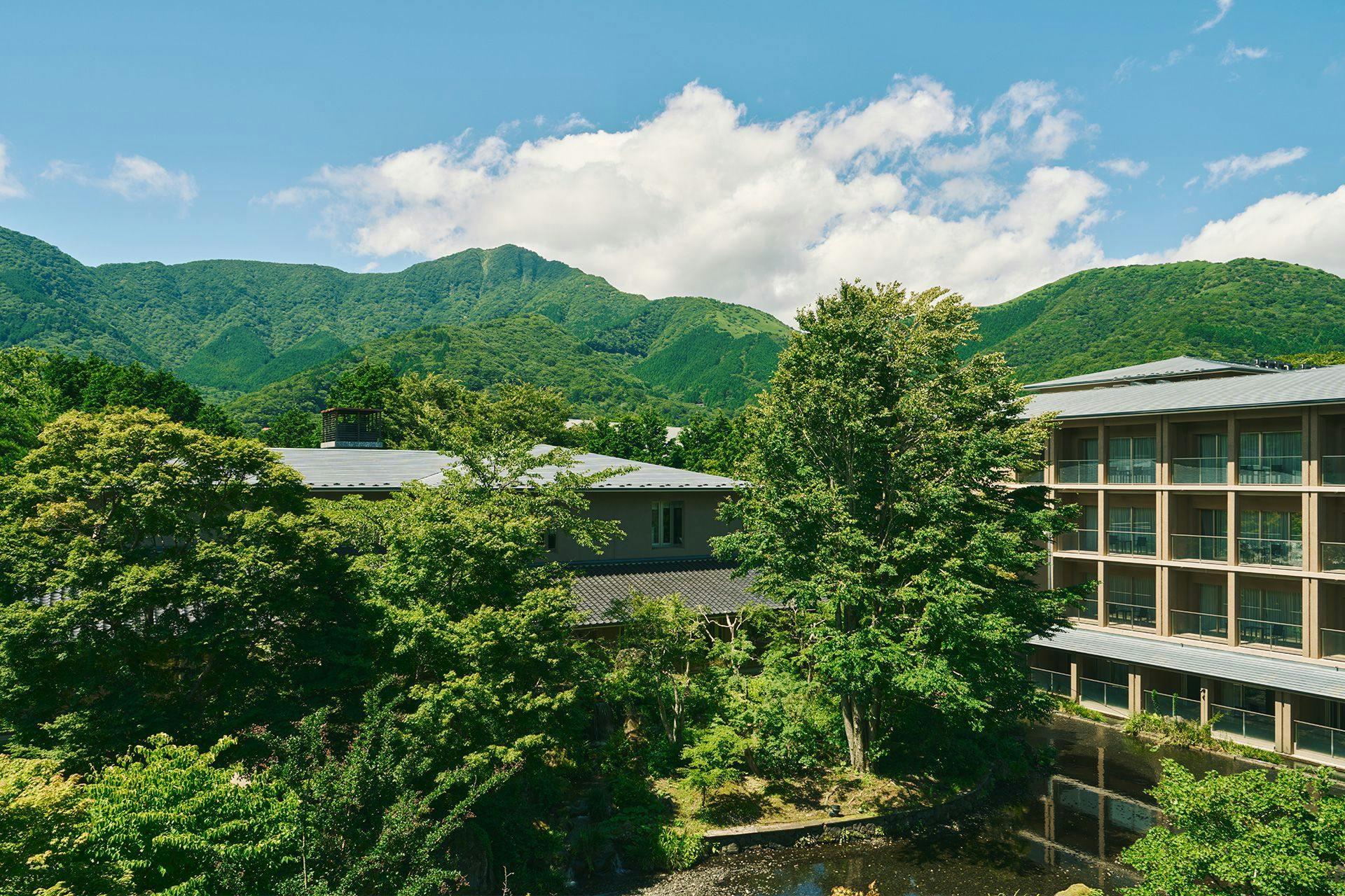 箱根翡翠