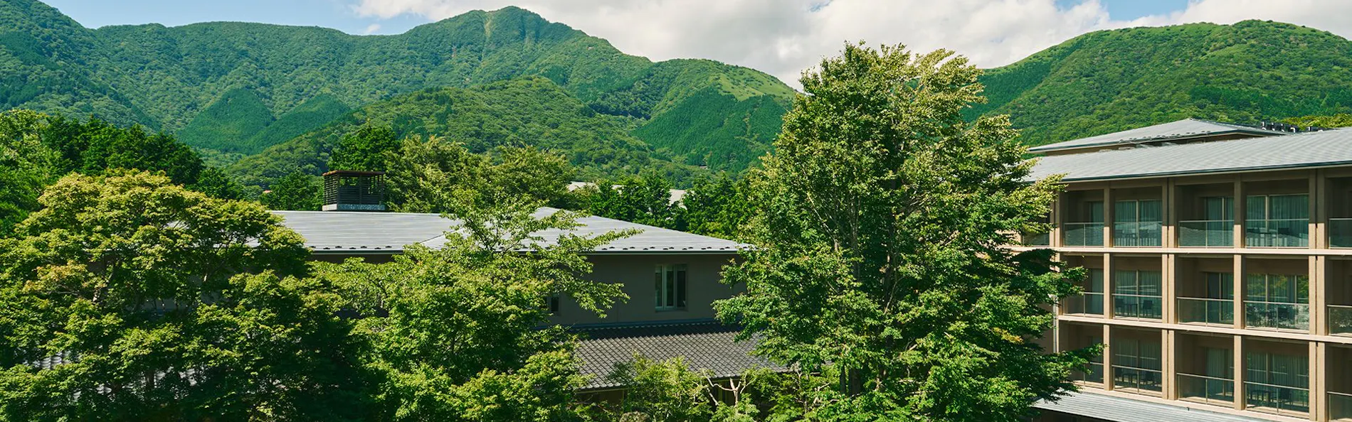 箱根翡翠