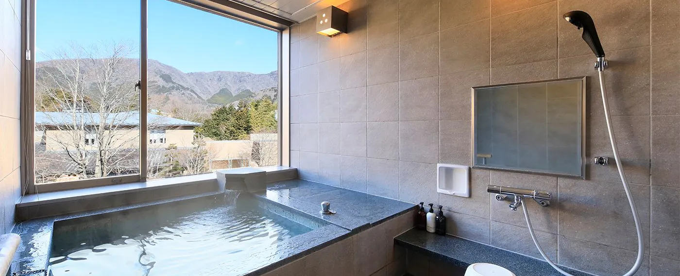 ห้องพักพร้อมน้ำพุร้อน・ดีลักซ์การ์เดนวิว (อ่างน้ำพุร้อนในตัว)