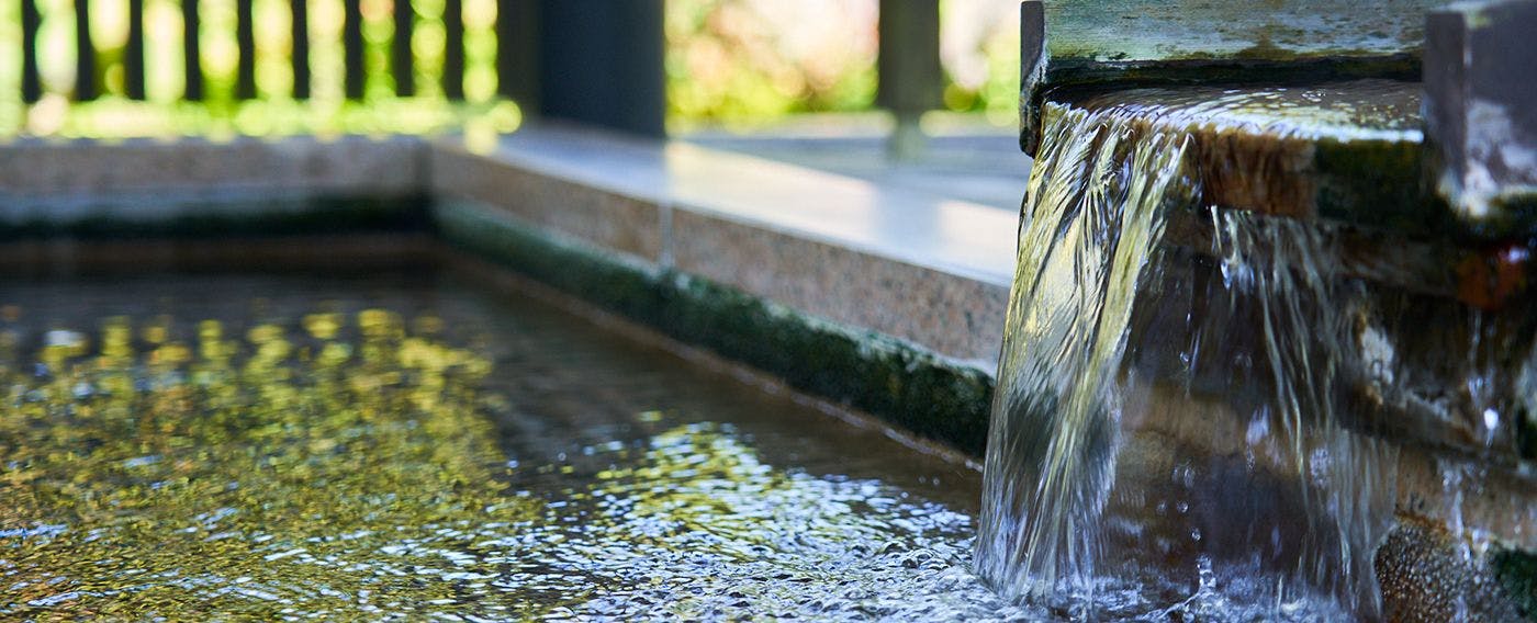 แช่เท้าในน้ำอุ่น