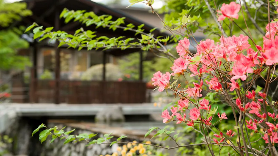 Hakone Hisui
