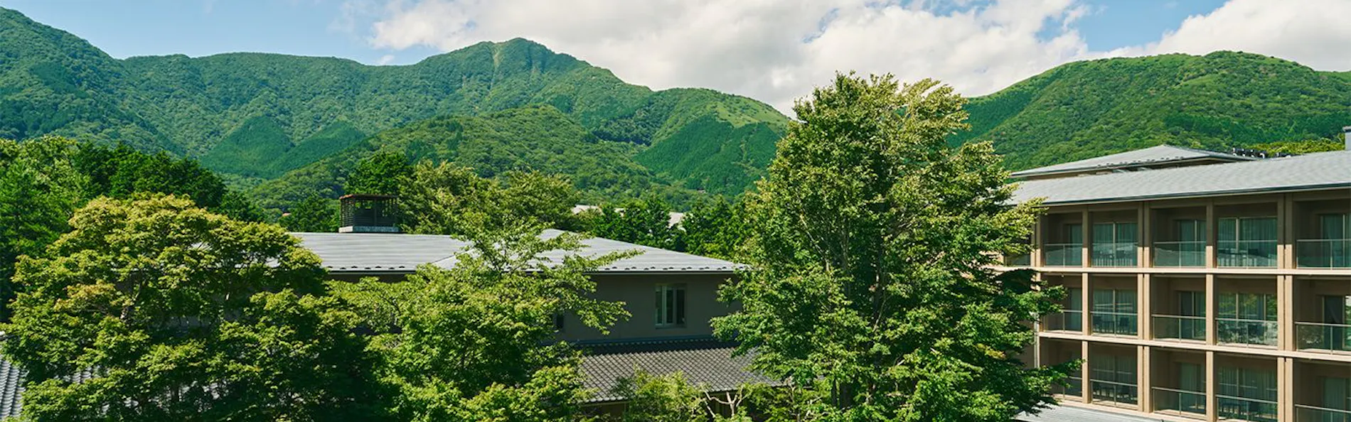 箱根翡翠