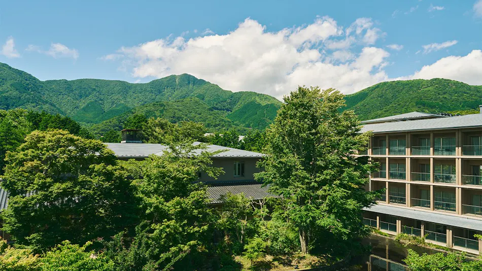 Hakone Hisui
