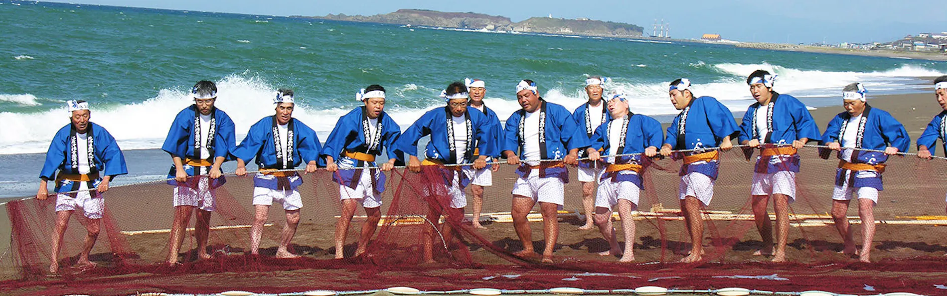 旅庭 群来