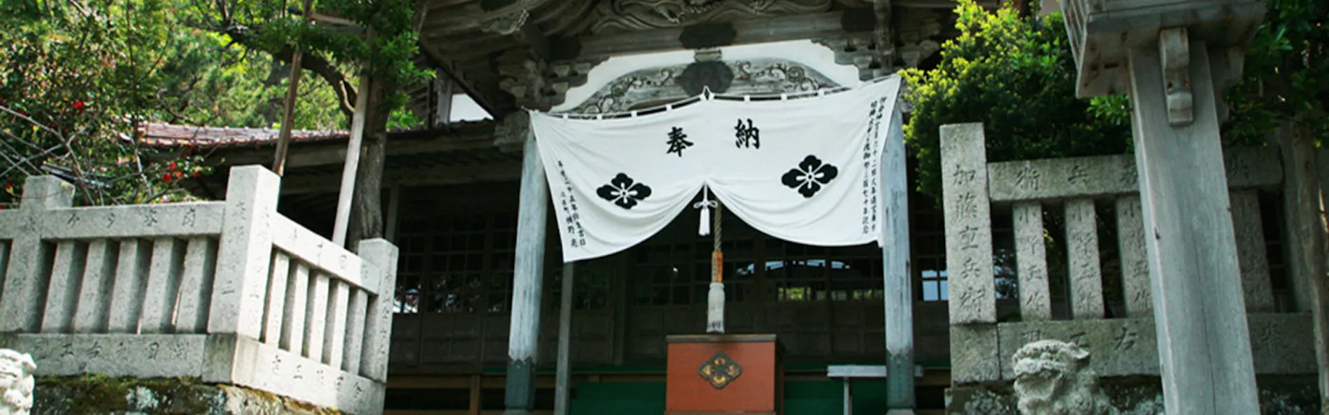 旅庭 群来