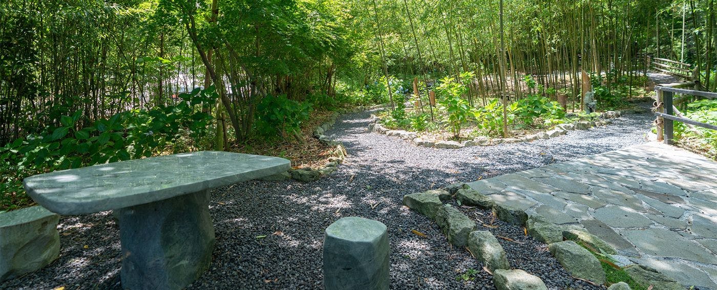 สวนไผ่ ฮิคาริ ดามาริ (ฮิดามาริ)