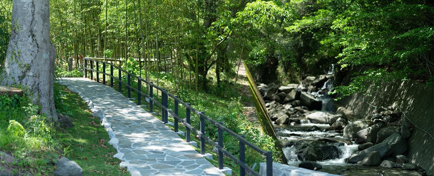 สวนไผ่ ฮิคาริ ดามาริ (ฮิดามาริ)