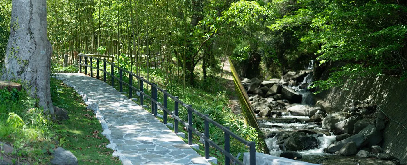 สวนไผ่ ฮิคาริ ดามาริ (ฮิดามาริ)