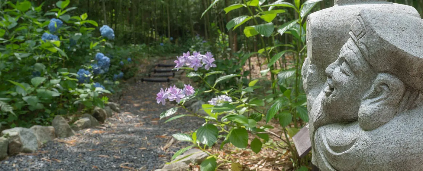 สวนไผ่ ฮิคาริ ดามาริ (ฮิดามาริ)