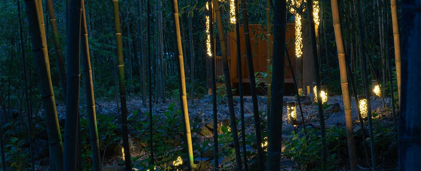 สวนไผ่ ฮิคาริ ดามาริ (ฮิดามาริ)