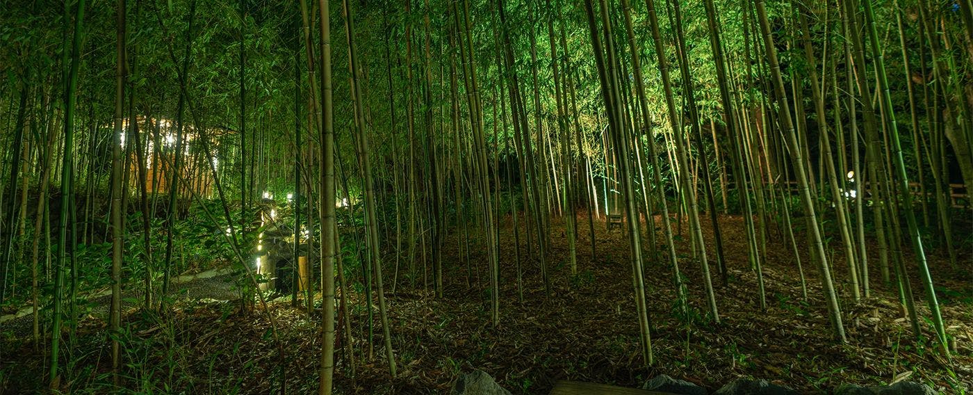 สวนไผ่ ฮิคาริ ดามาริ (ฮิดามาริ)