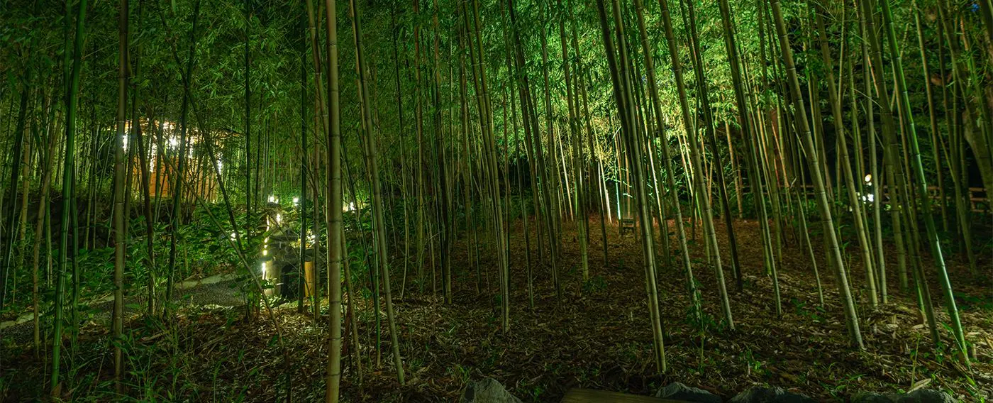 สวนไผ่ ฮิคาริ ดามาริ (ฮิดามาริ)