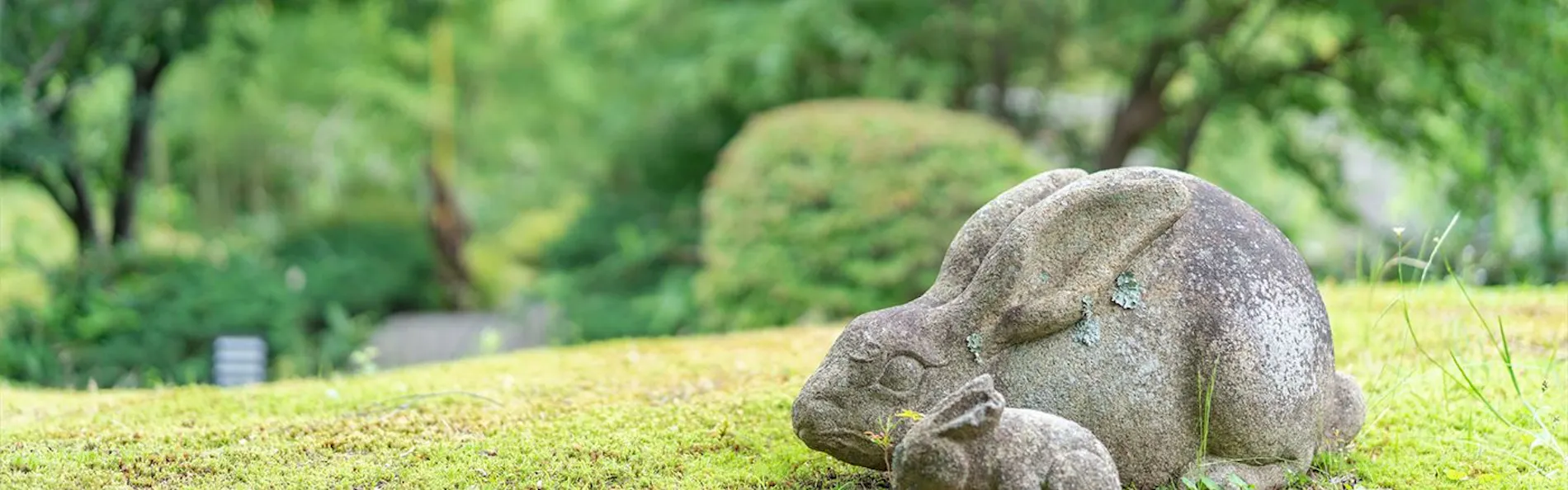 奈良偲の里 玉翠