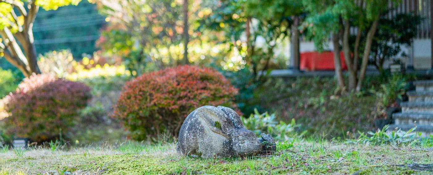 สวนญี่ปุ่น ฮาโกะโรมุ