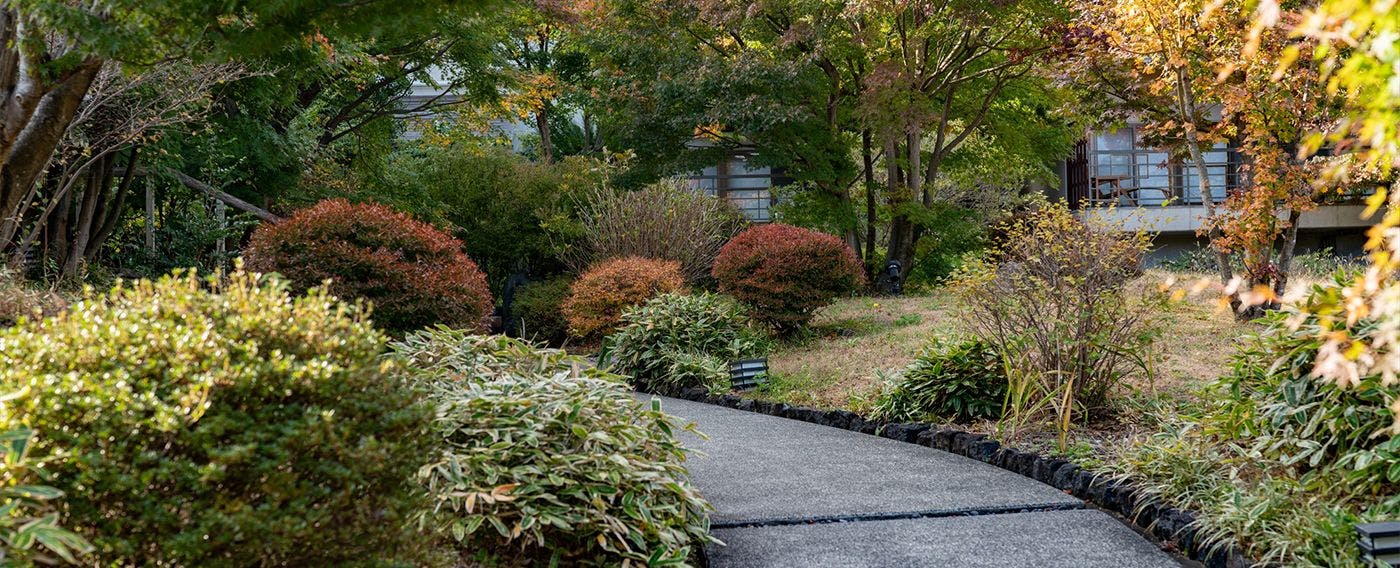 สวนญี่ปุ่น ฮาโกะโรมุ