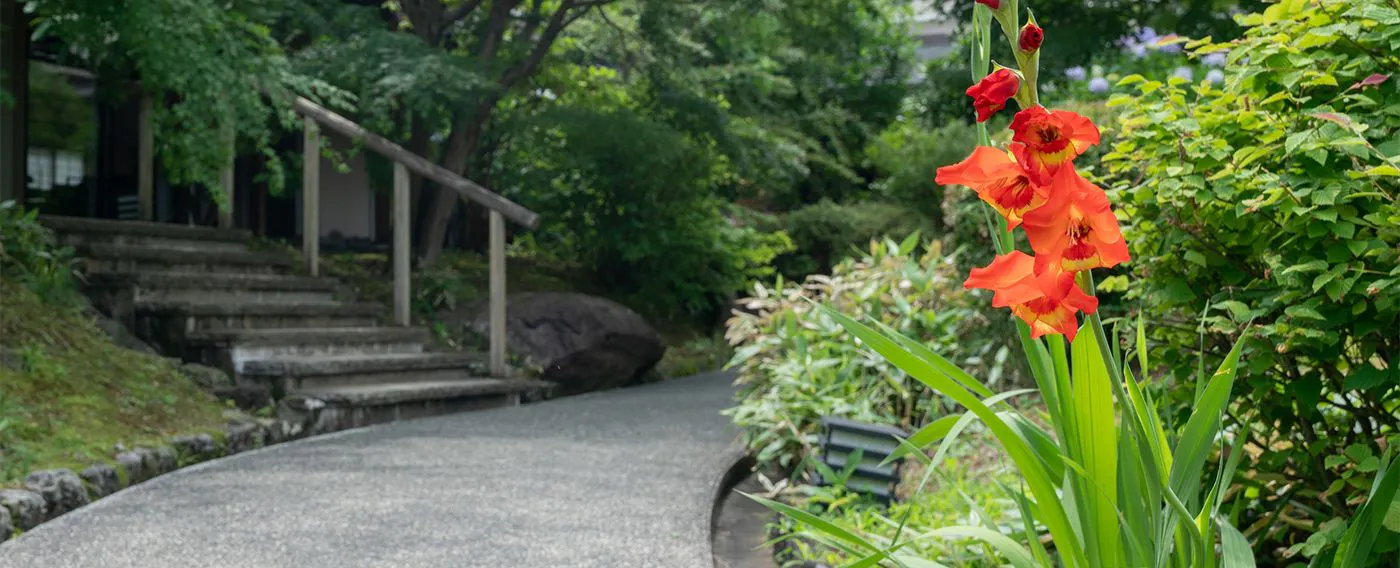 สวนญี่ปุ่น ฮาโกะโรมุ