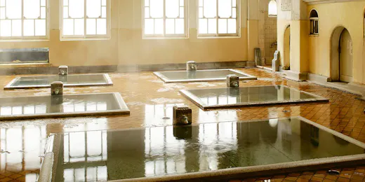 積善館(佳松亭・山荘)