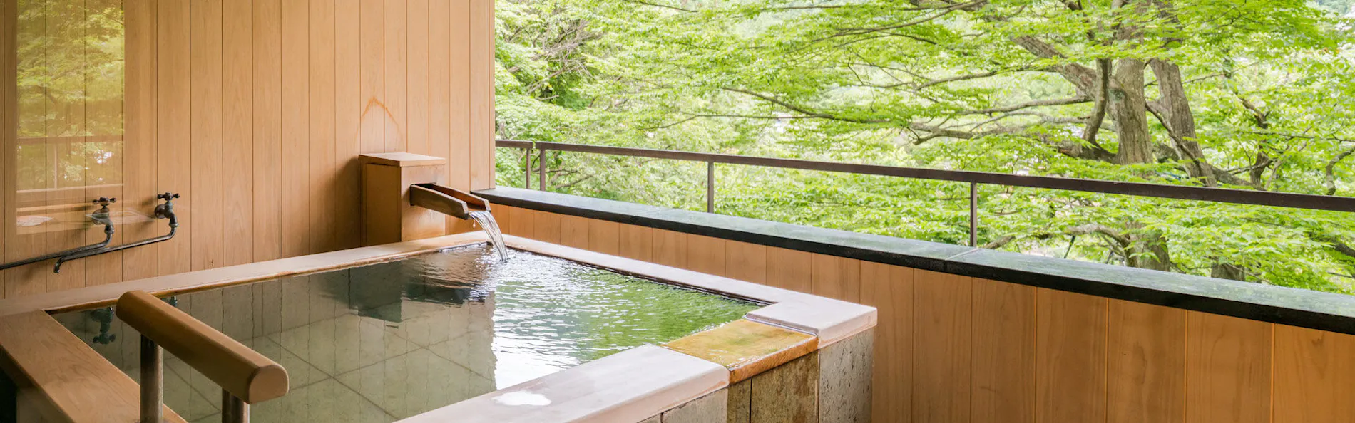 積善館(佳松亭・山荘)