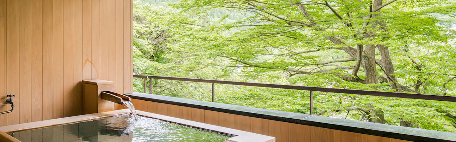 積善館(佳松亭・山荘)