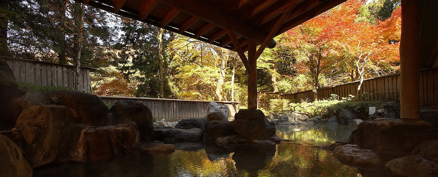 積善館（佳松亭・山荘）