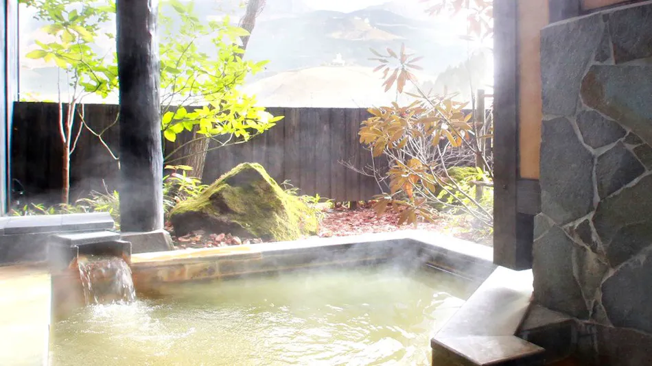 Minami Aso Onsen Iyashi no Sato Hatago Seiwa