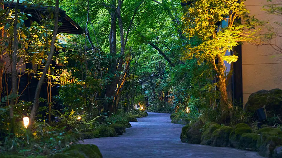 Minami Aso Onsen Iyashi no Sato Hatago Seiwa