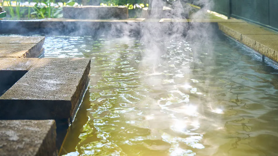 Minami Aso Onsen Iyashi no Sato Hatago Seiwa