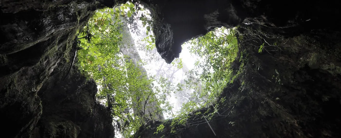 Heart-shaped view from inside the Wilson Stump