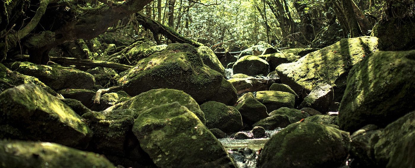 Shiratani Unsuikyo Ravine
