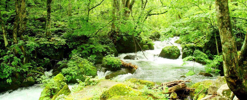 奥入瀬 森のホテル - 宿泊予約 - 一休.com