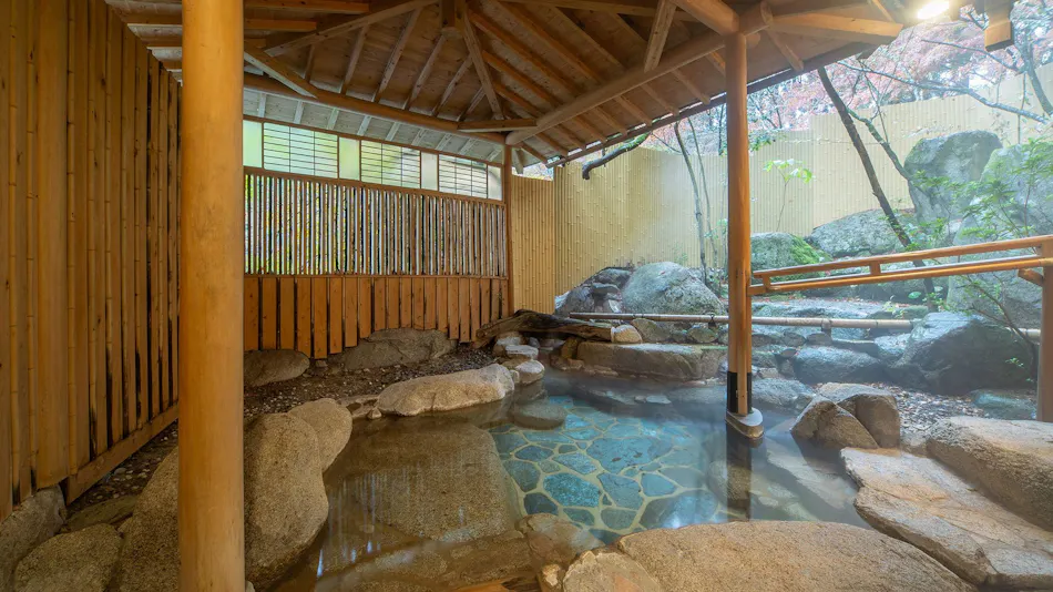 Akizuki Onsen Ryotei Ryokan Seiryuan
