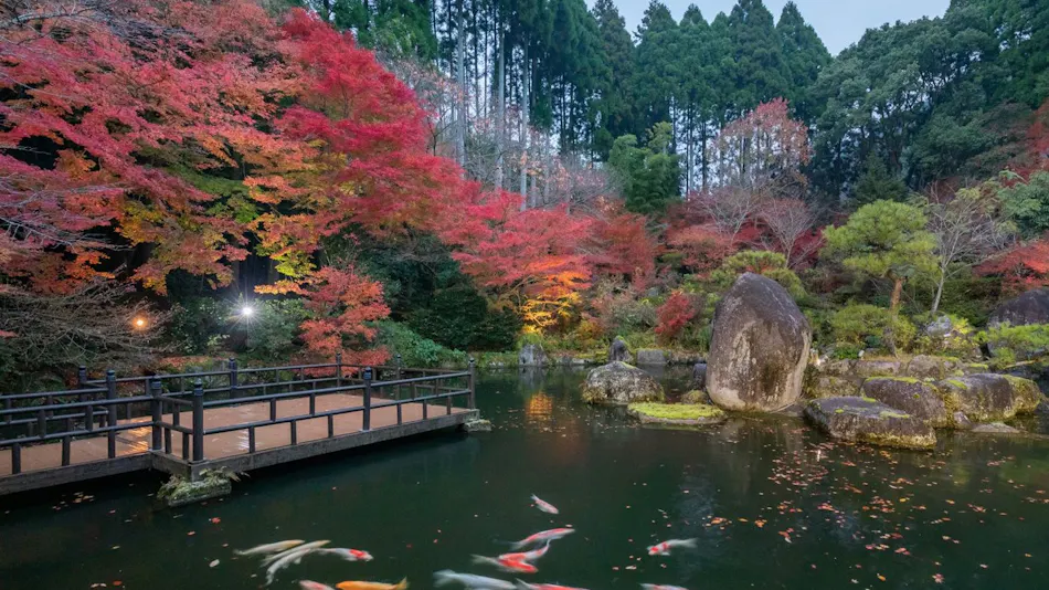 Akizuki Onsen Ryotei Ryokan Seiryuan