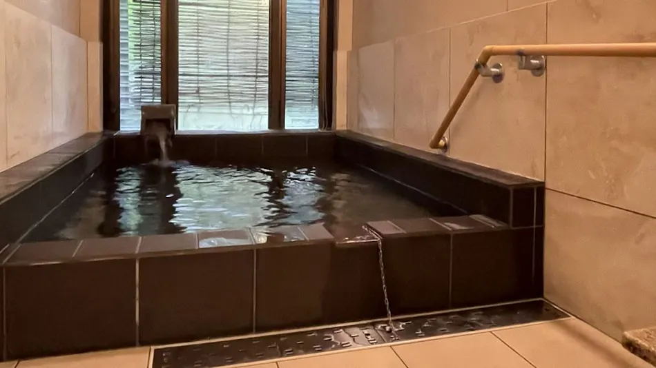 Akizuki Onsen Ryotei Ryokan Seiryuan