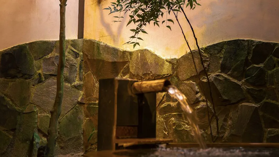 Akizuki Onsen Ryotei Ryokan Seiryuan